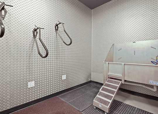 A bathroom with a shower, a sink, and a step ladder.