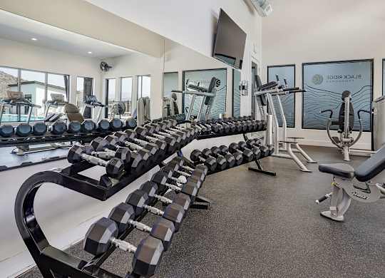A gym with a row of dumbbells and weight machines.