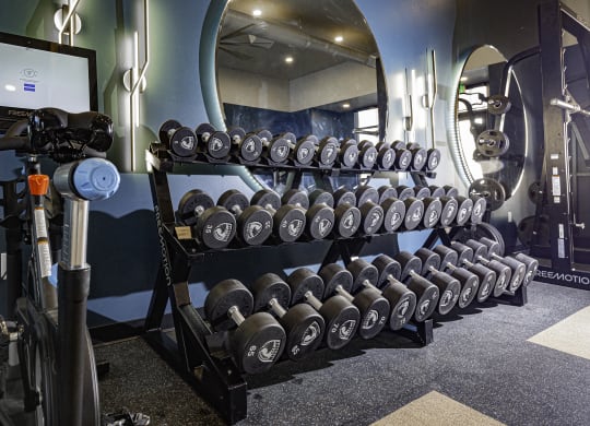 a rack of dumbbells in a gym