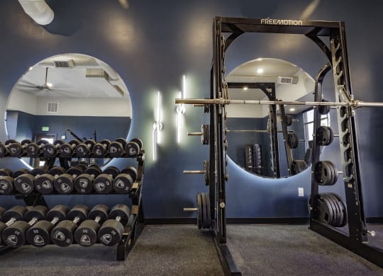 a gym with weights and a rack of dumbbells