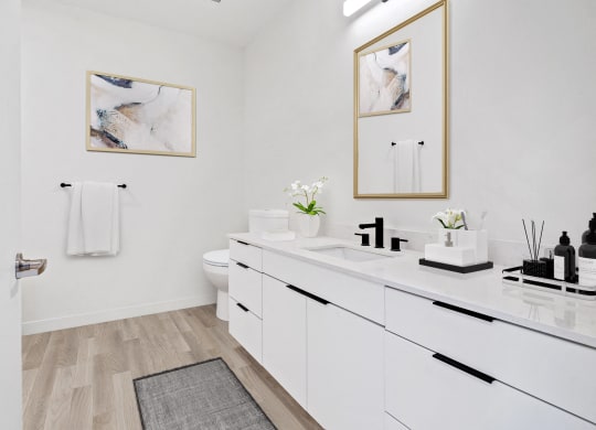 AP1 Lofts - Studio & 1 Bedroom Apartments For Rent in Downtown Salt Lake City, UT - Interior