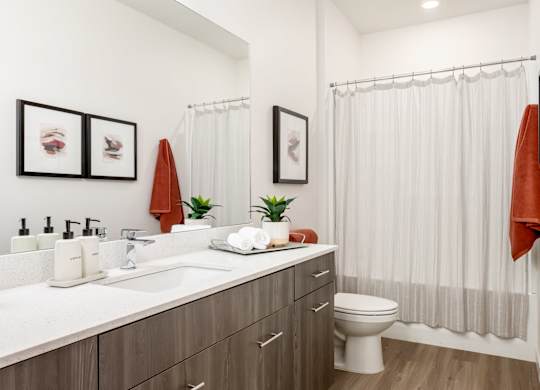 A bathroom with a white countertop and a white toilet.
