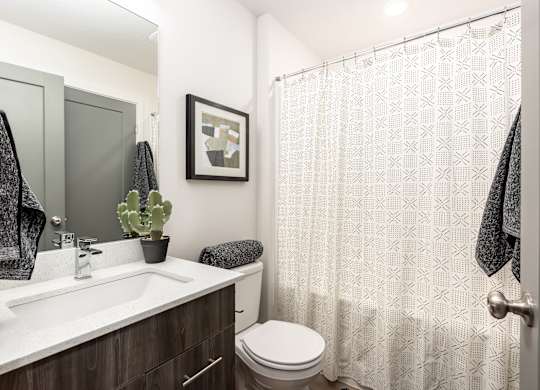 A bathroom with a toilet, sink, and shower curtain.