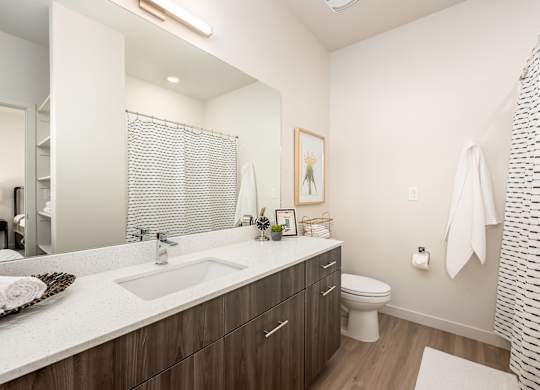 A modern bathroom with a white sink and a white towel hanging on the shower curtain.