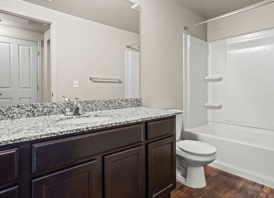 a bathroom with a sink and a toilet and a shower