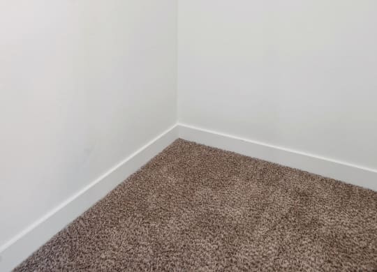 an empty room with white walls and a carpet