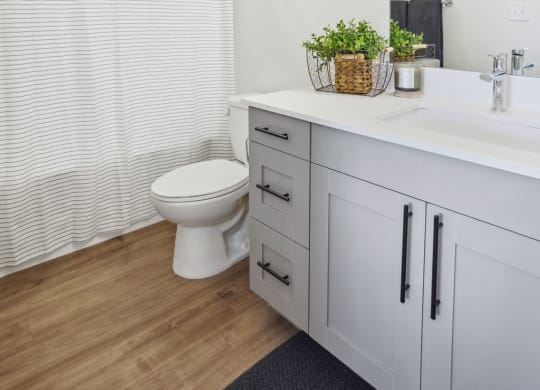 a bathroom with a toilet and a sink and a mirror