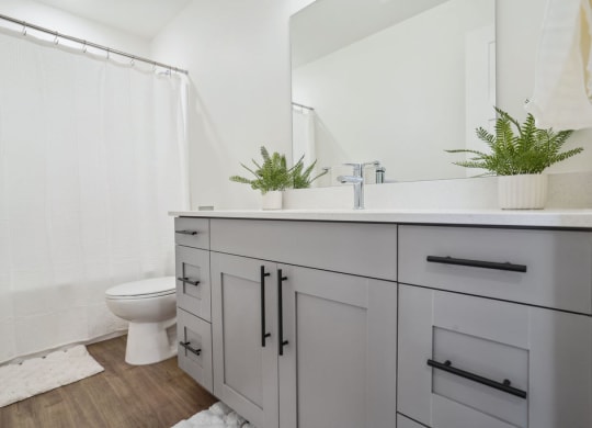 a bathroom with a toilet and a sink and a mirror