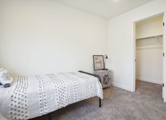 a bedroom with a bed and a closet