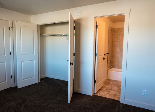 a bedroom with two closets and a bathroom with a shower and a toilet