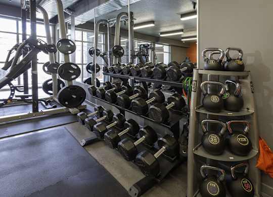 a gym with a lot of weights on a rack