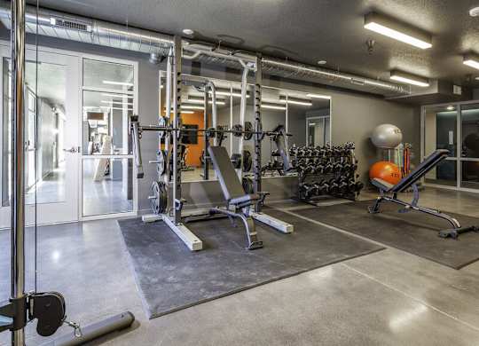 the gym at the trilogy apartments