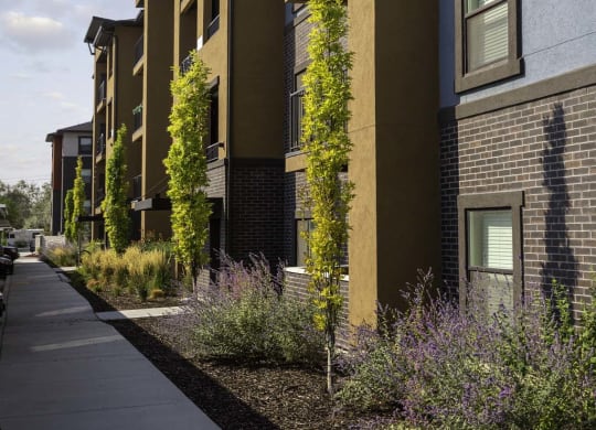 an exterior view of an apartment building