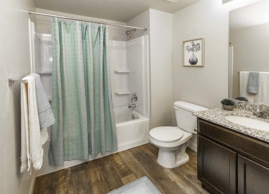 a bathroom with a white toilet next to a bathtub with a shower curtain