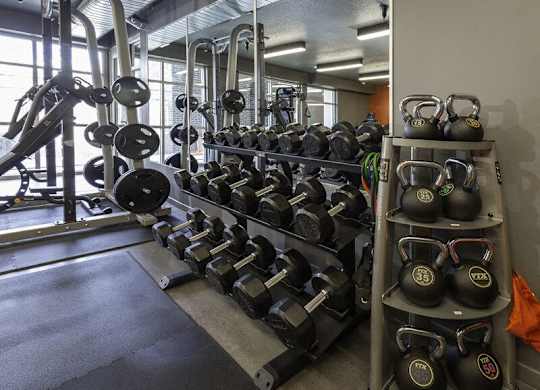 A gym with a variety of weights and dumbbells.