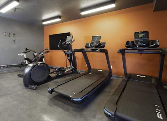 A gym with treadmills, exercise bikes, and elliptical machines.