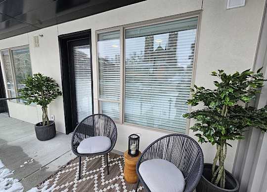 Two chairs and two potted plants on a patio.