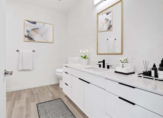 A bathroom with a white counter and a grey rug.