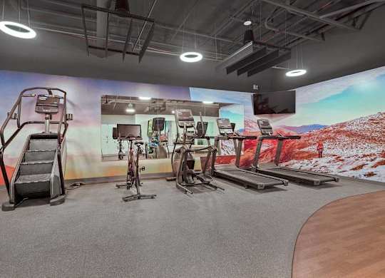 A gym with exercise equipment and a wall mural.