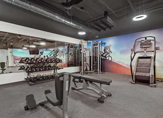 A gym with a variety of equipment including a bench, weights, and a treadmill.