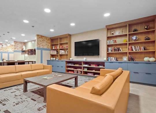 A living room with a television, couches, and bookshelves.
