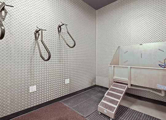 A bathroom with a shower, a sink, and a step ladder.
