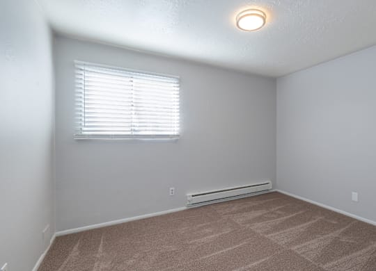 A room with a window and a carpeted floor.