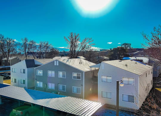 A sunny day in a residential area with houses and trees.
