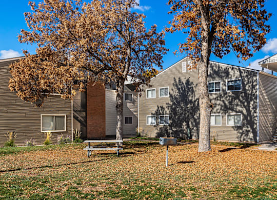 A tree with orange leaves stands in front of a grey building.