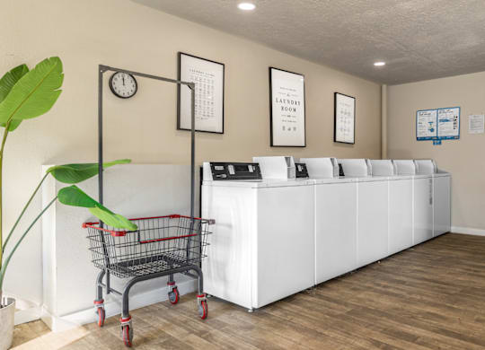 A white reception desk with a shopping cart in front of it and a green plant to the left.