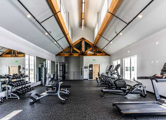 A gym with treadmills, weights, and exercise equipment.