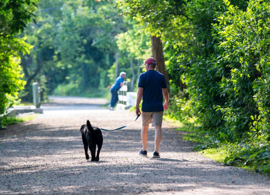 a man walking his dog down a path in a park