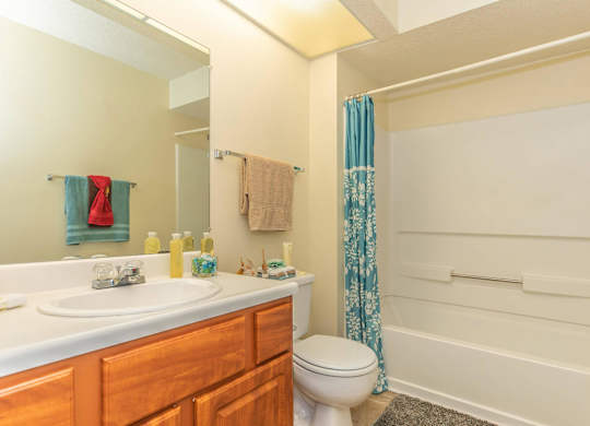 a bathroom with a sink toilet and bathtub at Arbors at Windsor Lake, South Carolina, 29223
