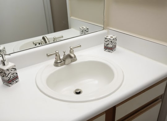 a bathroom with a sink and a mirror at Brookside Pointe, South Carolina
