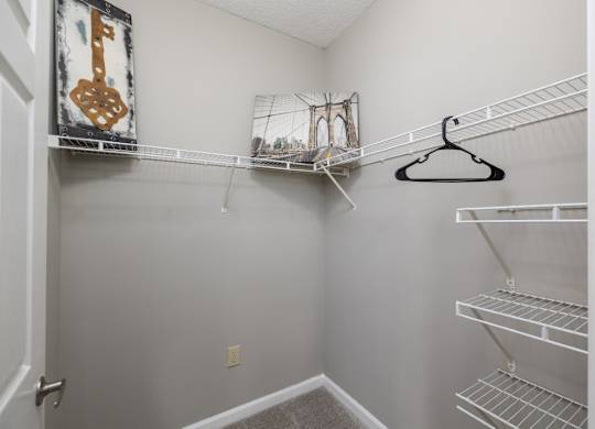 a closet with shelves and a guitar on the wall at Magnolia Lake Apartments, Carrollton