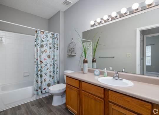 a bathroom with a shower toilet and sink and a mirror at Magnolia Lake Apartments, Carrollton, GA