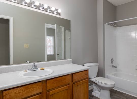 a bathroom with a sink toilet and a mirror at Magnolia Lake Apartments, Carrollton