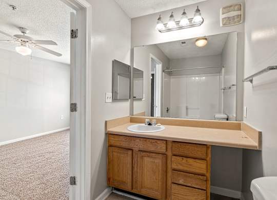 a bathroom with a sink and a mirror at Palms on Ashley River Apartments, Ladson, SC, 29456