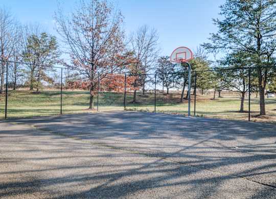 Basketball Court at The Regency Apartment Homes, Manassas, VA 20109
