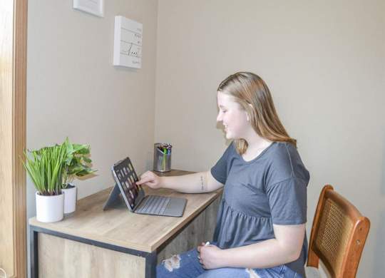 a woman sitting at a desk with a laptop computer at Boulder Ridge, Minnesota, 55811
