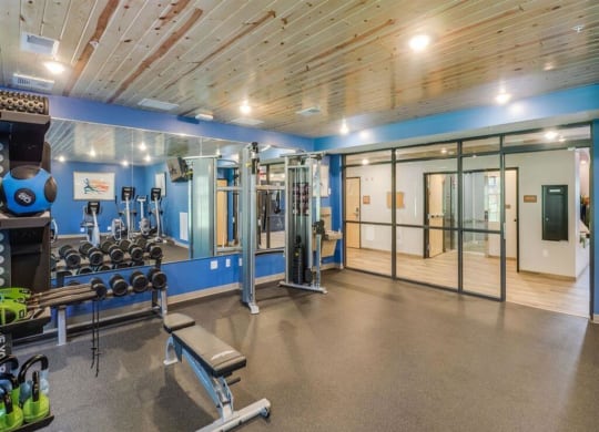a gym with a lot of weights and equipment in it at Arbor Ridge, Forest Lake, MN