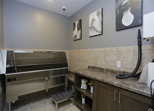 a bathroom with a sink and a stove in it at Arbor Ridge, Forest Lake, MN, 55025
