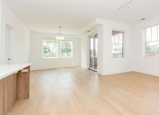 a view of a hallway with wood floors and walls and windows