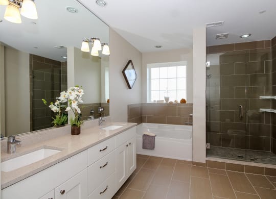 a bathroom with two sinks and a tub and a shower