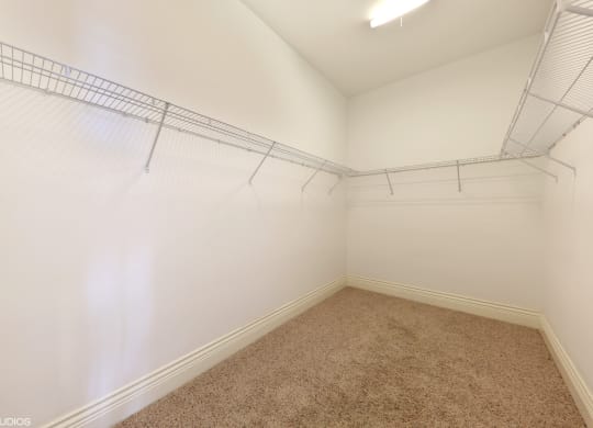 a room with a carpeted floor and a closet with white and blue walls