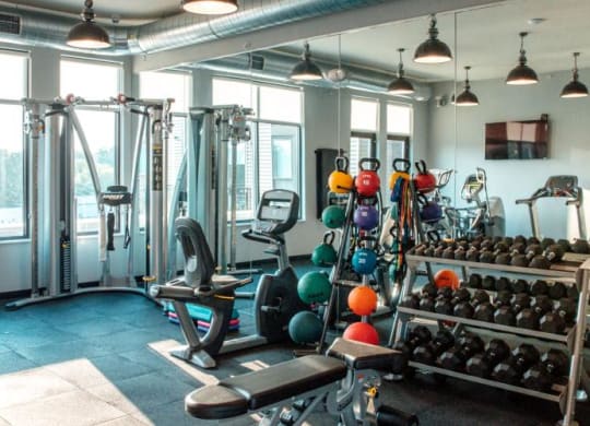 a gym with a lot of weights and a large window  at Barrington 101, Barrington Illinois