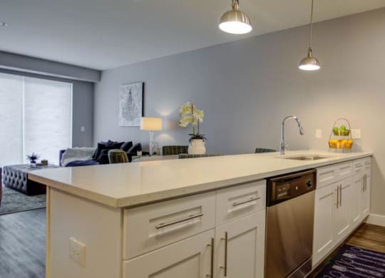 a kitchen with a large counter top and a sink at Barrington 101, Illinois