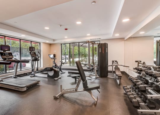 a gym with weights and cardio equipment and windows at Clarendon Hills 229, Clarendon, IL