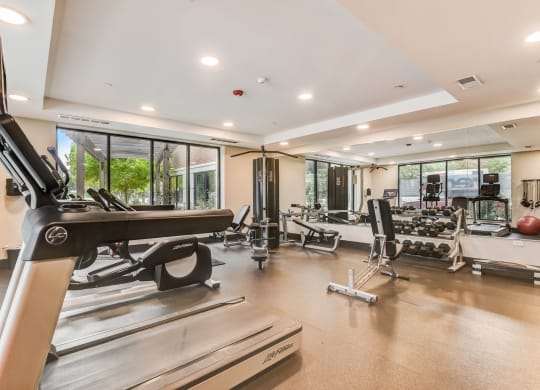 a gym with a lot of equipment and windows at Clarendon Hills 229, Clarendon, IL 60514