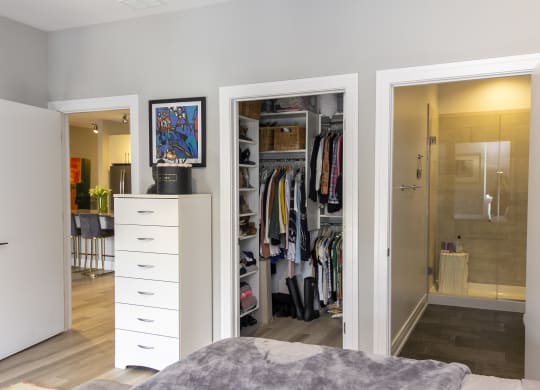 a bedroom with a closet and a bathroom with a shower